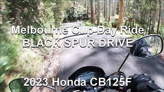 Melbourne Cup Day Ride  Black Spur and slow traffic 🤬 [upl. by Tormoria]