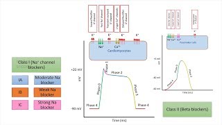 Antiarrhythmic drugs agents  Chapter 3 Classification and Mechanism of Action Made Easy [upl. by Decima]