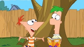 Phineas e Ferb em Português Dublado 3ª Temporada Episódio 113 [upl. by Nevsa]