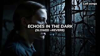 ECHOES IN THE DARK 😍 Slowed  Reverb 🎶Official Song [upl. by Delisle478]