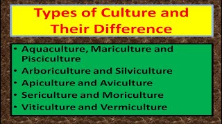 Types of Culture and Their Difference [upl. by Botnick]