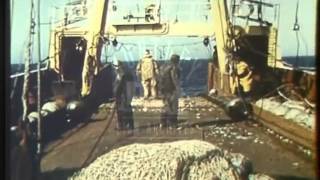 Smiths Industries 1960s  Archive Film 19598 [upl. by Martel]