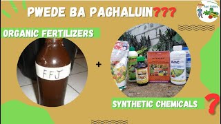 Pwede ba paghaluin ang ORGANIC FERTILIZERS at SYNTHETIC CHEMICALS Insecticide Fungicide etc [upl. by Tsepmet]