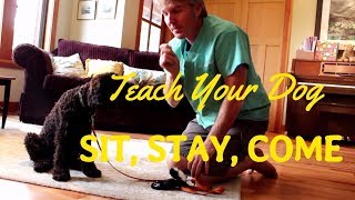 Teach Your Dog To Sit and Stay [upl. by Meletius]