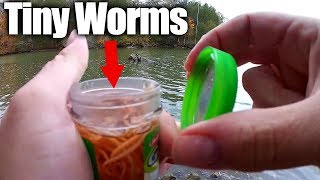 Fishing with Tiny Artificial Worms  Bluegill amp Berkley GULP Alive [upl. by Charin]