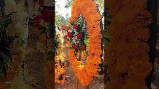 dia de muertos en michoacan estando dentro del cementerio de Tzurumútaro [upl. by Analra]