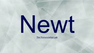 Newt Pronunciation How to Pronounce Newt— How to Say Newt [upl. by Edveh]