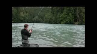 MONSTER King salmon  BIG Chinook 60  lb 28 kg Kalum River Skeena River  British Colombia [upl. by Gower]