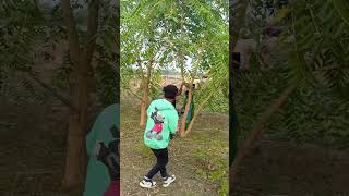 Met khon met Dak jorok tin song santali love newsong viralvideo [upl. by Zohara40]