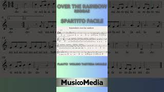 OVER THE RAINBOW reggae tutorial spartito facile flauto violino playalong short easyscore [upl. by Anaeda]