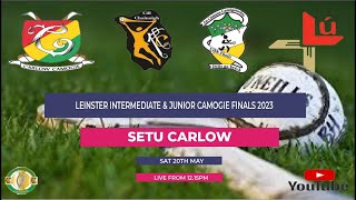 Leinster Intermediate amp Junior Camogie Finals [upl. by Streetman]