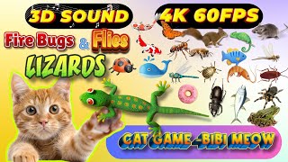 CAT GAMES BiBi TV  Ultimate Cat TV Compilation SPECIAL VOLUME 77  3 HOURS  Game On Screen 🐝🐞🦋🦎🦜🐜 [upl. by Ettevi]