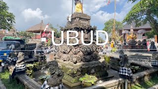 Immigration Experience  First day in Bali [upl. by Gabrielle]