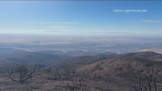 IDFG planning sagebrush seed drops to restore Valley Fire area [upl. by Pincus767]