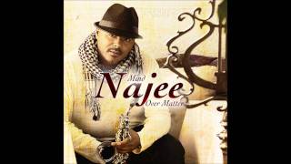 Najee  Sweet Summer Nights [upl. by Argela]