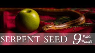 The Serpent Seed 9 Bible Proofs Part 1 of 3 41 [upl. by Ric730]