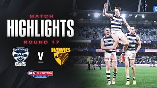 Geelong Cats v Hawthorn Highlights  Round 17 2024  AFL [upl. by Hertberg909]