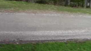 What is the best gravel for driveways and paths Peninsula Landscape Supplies [upl. by Jobina176]