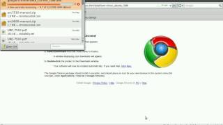 How to Install Google Chrome on LinuxUbuntu [upl. by Rogozen868]