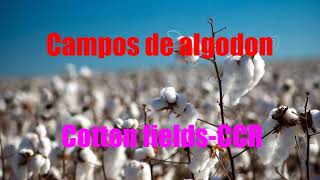 CCR  Cotton Fields  Subtitulo Español  Ingles [upl. by Cristin505]