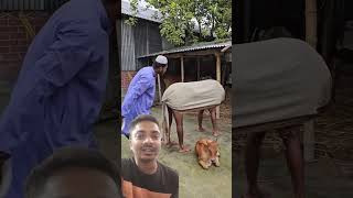 video pura dikh raha hai hans hans ke Pagal Ho jaaoge🤣🤣🤣 short viral comedy funny [upl. by Anirbas442]