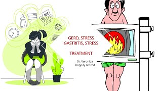 GERD Stress Gastritis Stress Treatment Plan detailed Part 2 [upl. by Meehsar]