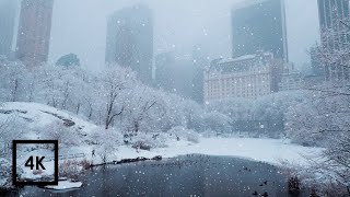 Snowfall in Central Park New York  Walking in Central Park in the Winter Snow [upl. by Corri]