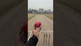 From the Pitch to Your Screen Leather Ball Action cricket cricketlover cricketshorts ycc [upl. by Nnahtur]