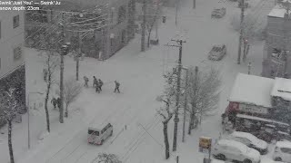 Heavy snowfall in Sapporo lofi radio 12 hours  January 7 2024 [upl. by Nnhoj]