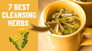 7 Strong Herbs For Natural Body Detox amp Cleanse Perfect for Tea [upl. by Corneille520]