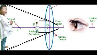 Convex lens  Light  Working of Lens [upl. by Artimas]