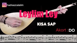 Hadi Saz Çalalım  Leylim Ley [upl. by Anastasia]