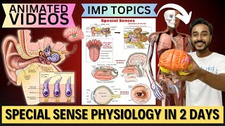 special sense physiology in 2 days  how to study special sense physiology important topics [upl. by Ihn]