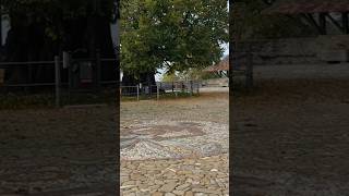 Ancient city square with special pavement EstavayerleLac travel suisse city [upl. by Oppen]