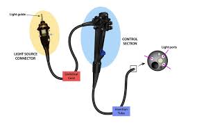 Endoscope Technology TheoryLesson 3Endoscope Parts [upl. by Phelgen138]