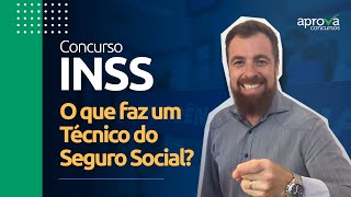 Concurso INSS o que faz um Técnico do Seguro Social [upl. by Jeffie588]