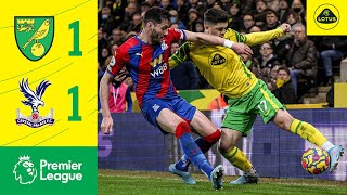 HIGHLIGHTS  Norwich City 11 Crystal Palace [upl. by Nilkcaj]