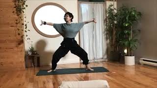 WEI QI GONG  Le Tigre [upl. by Anaes662]