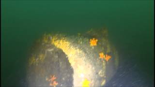 IJN battleship Mutsu Wreck Diving [upl. by Anette242]