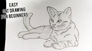 How To Draw A Cat  Easy Step By Step Cat Drawing For Beginners [upl. by Ylrrad]