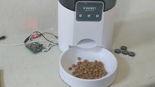 Custom WoPet Automatic Pet Feeder Using Arduino nodemcu [upl. by Swirsky]