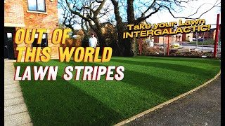 Insane Lawn Stripes Using Simple Products  Applying Weedol before Renovation Season [upl. by Gerrit]