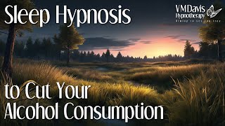 Sleep Hypnosis to Cut Your Alcohol Consumption  Alcohol Moderation  Guided Meditation [upl. by Isdnil]