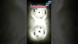 Cell division biology knowlegeispower biologybook science neetbiology knowledge shorts [upl. by Haisi]