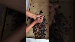 How to make perfect potting Mix for Strawberry Gerbera etc  India Hindi [upl. by Allanson]