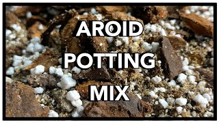 Potting Mix for Monstera  Aroid Potting Mix Recipe  How to Ep 41 [upl. by Ecerehs478]