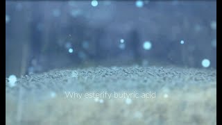 Why esterify butyric acid [upl. by Rivera494]