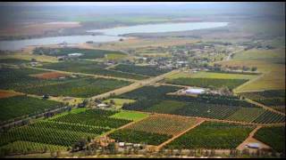 Citrus in the Riverina  Australias Food Bowl [upl. by Minette]