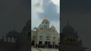 Swarna🛕Mandir 🙏 Amritsar Punjab 🙏 sasariyakal mandirtamplewahegurujiviralvideoviralshortsyt [upl. by Mackenie]