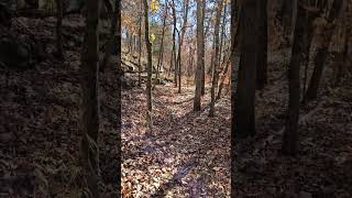 Along the Chinquapin Trail [upl. by Fan718]